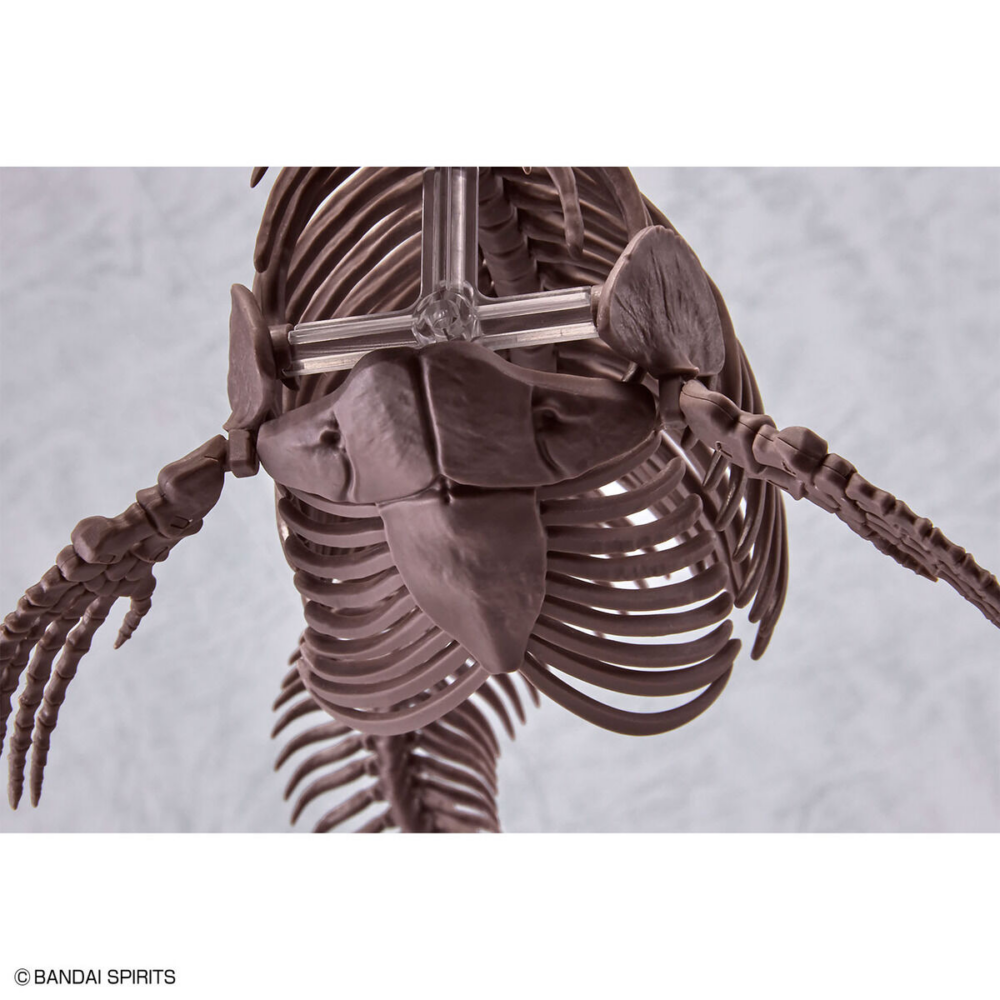1/32 Imaginary Skeleton Mosasaurus — Plannosaurus — Bandai Hobby