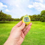 Green Grass On A Golf Field